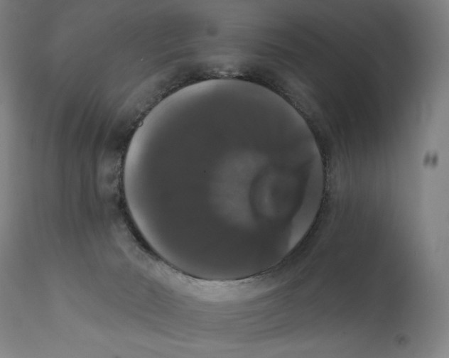 X0000111520030200908111213