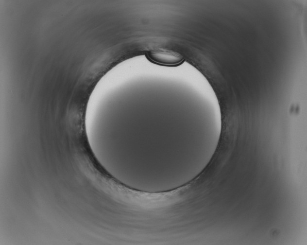 X0000111520031200908111213