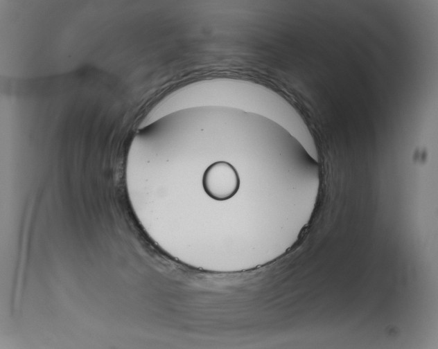 X0000111520033200908111213