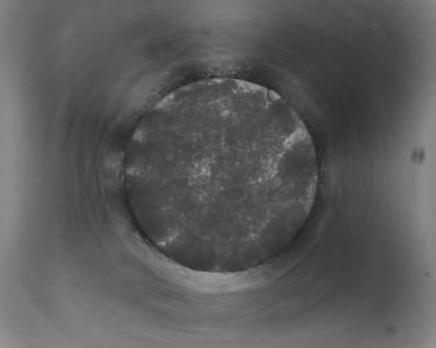 X0000111520034200908111213