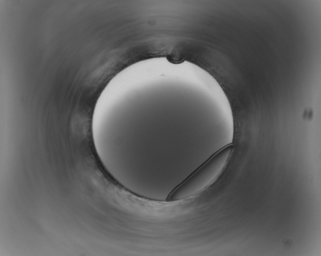 X0000111520035200908111213