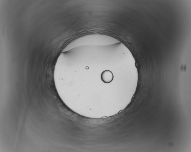 X0000111520037200908111213