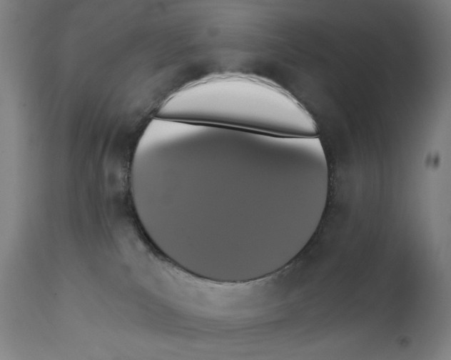 X0000111520039200908111213