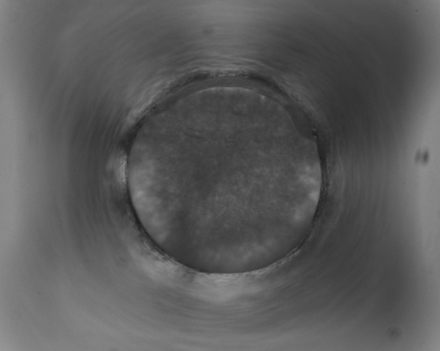 X0000111520041200908111213