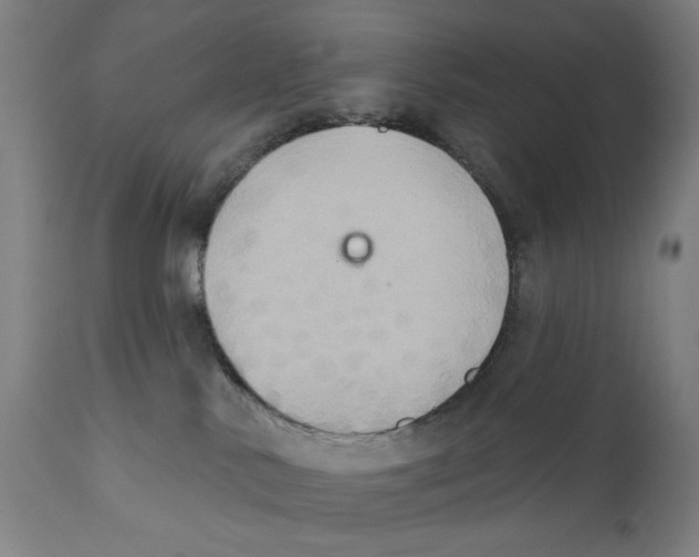 X0000111520042200908111213