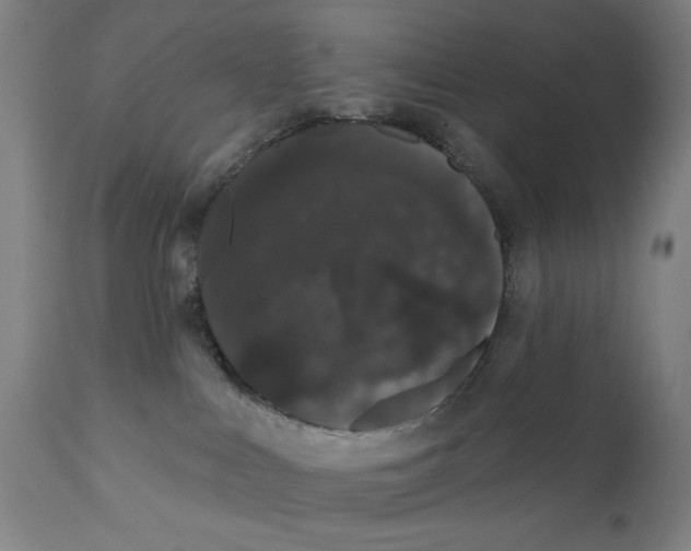 X0000111520043200908111213