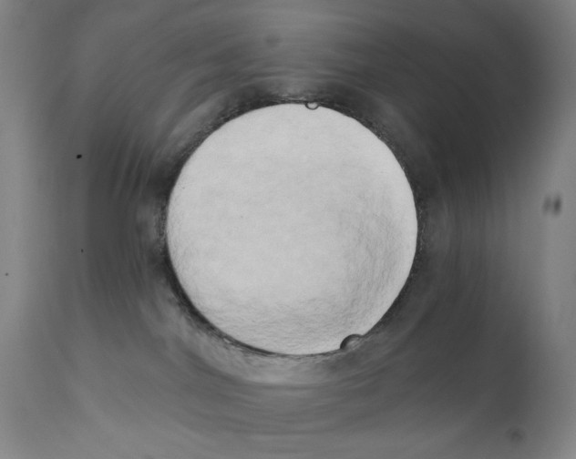 X0000111520044200908111213