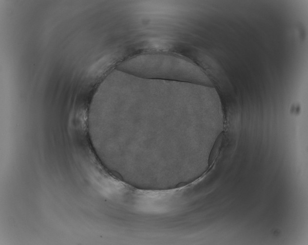 X0000111520045200908111213