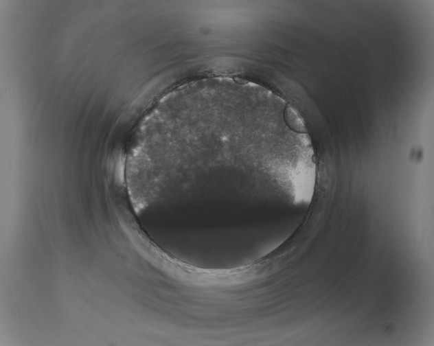 X0000111520046200908111213
