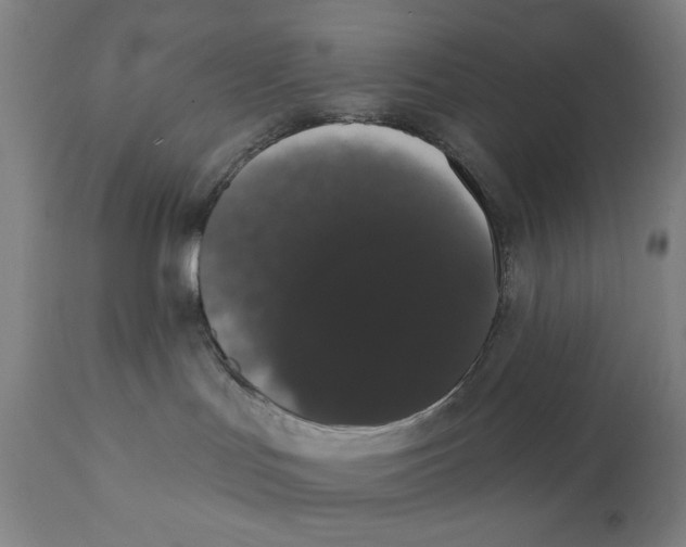 X0000111520047200908111213