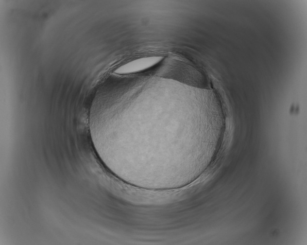 X0000111520048200908111213