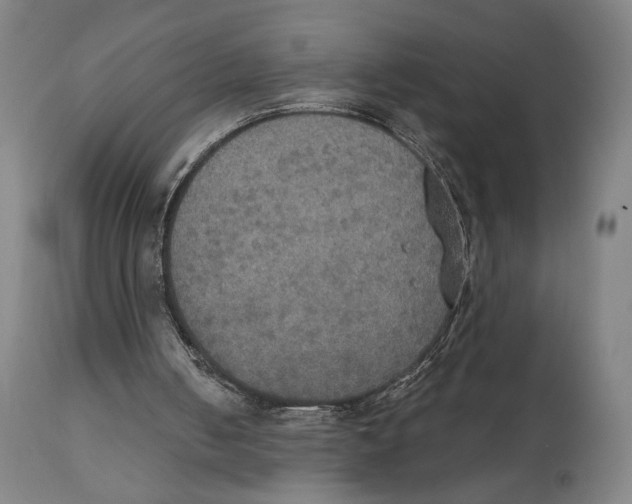 X0000111520050200908111212