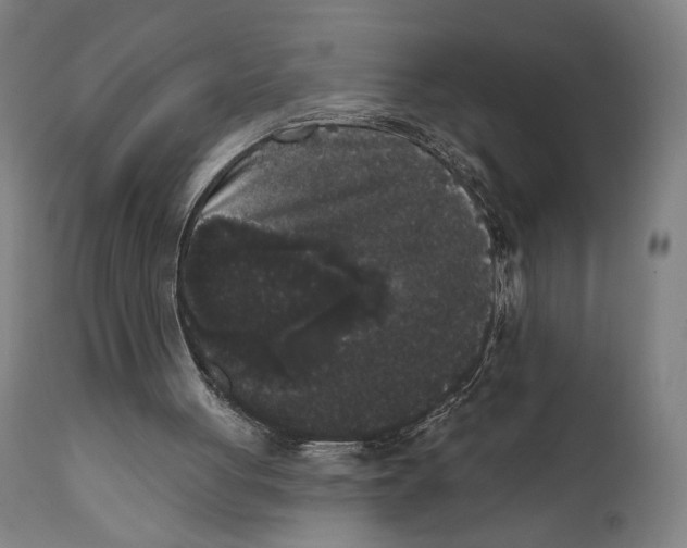 X0000111520051200908111212