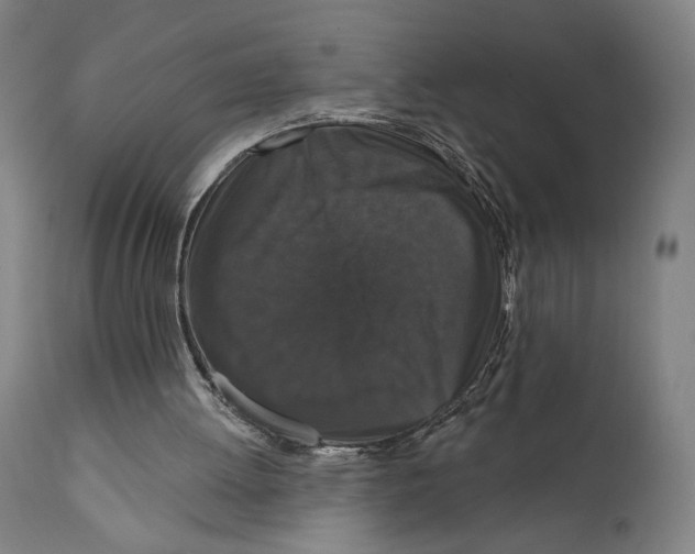 X0000111520052200908111212