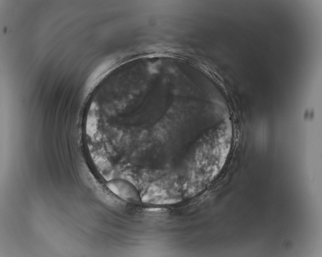 X0000111520053200908111212