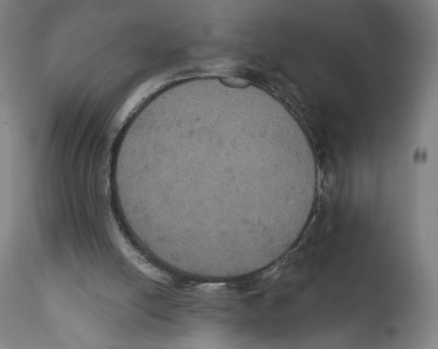 X0000111520054200908111212