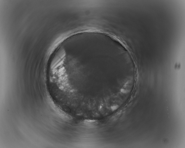 X0000111520055200908111212