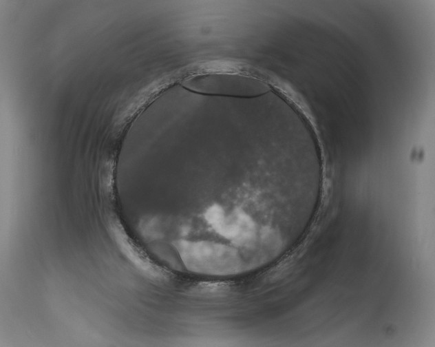 X0000111520057200908111212