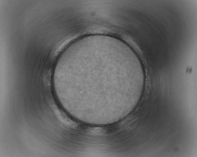 X0000111520058200908111212