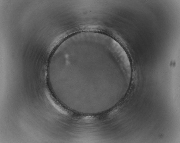 X0000111520059200908111212