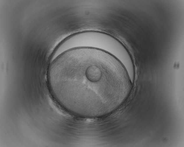 X0000111520060200908111212