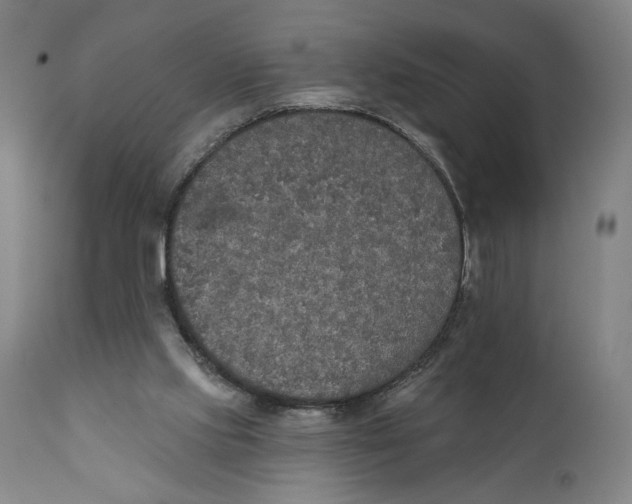 X0000111520061200908111212