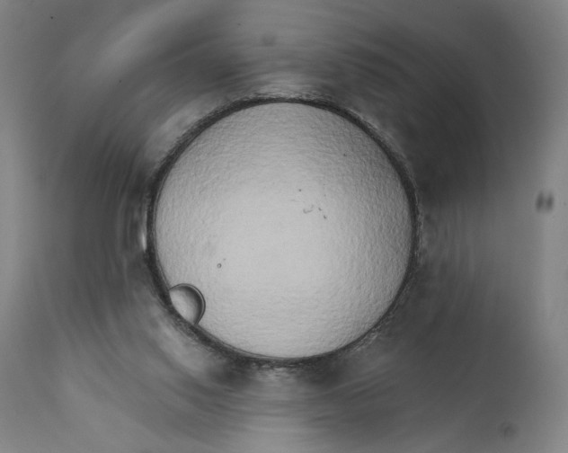 X0000111520062200908111212