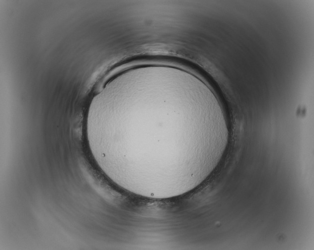 X0000111520064200908111212