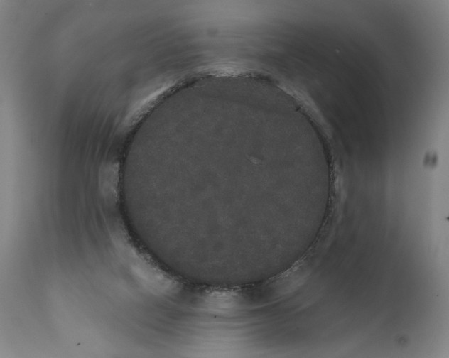 X0000111520066200908111212