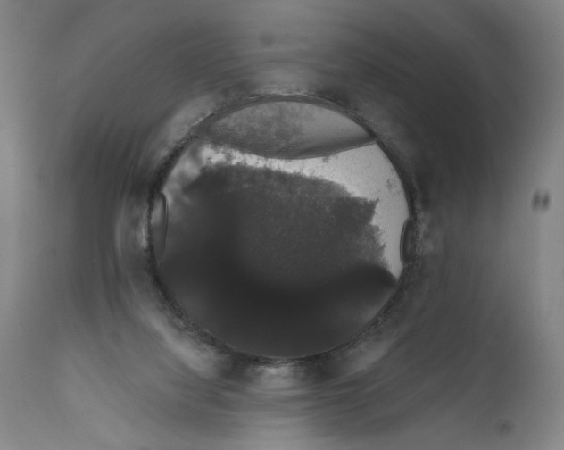 X0000111520068200908111212