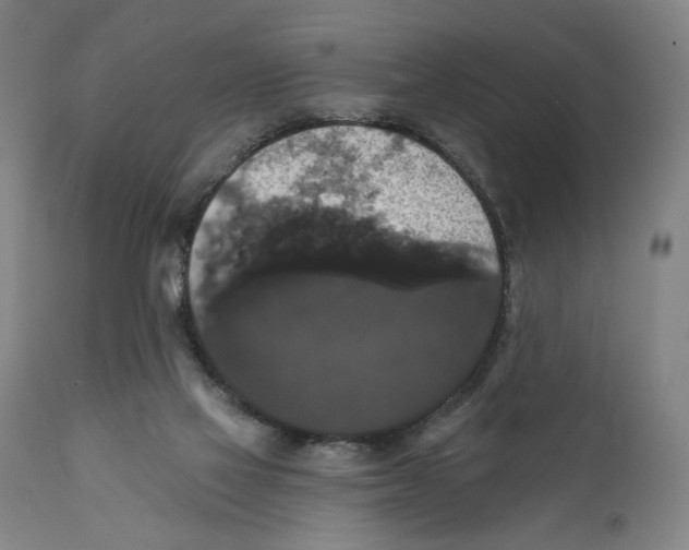 X0000111520069200908111212