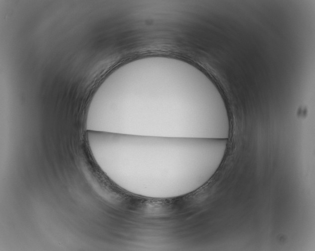 X0000111520070200908111212