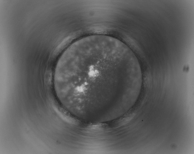 X0000111520072200908111212