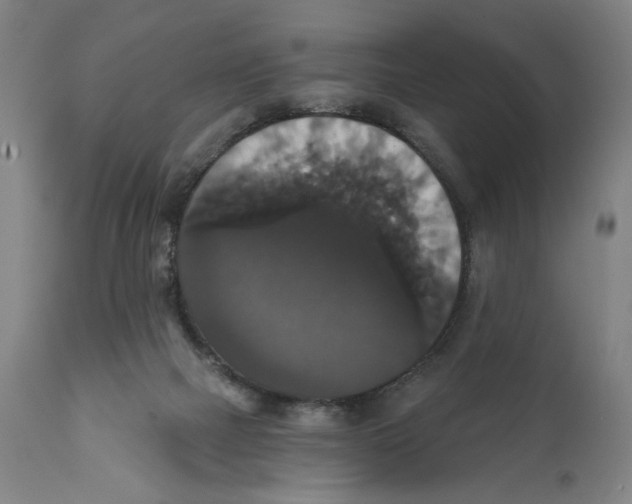 X0000111520073200908111212