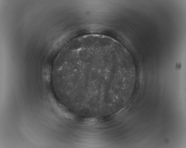 X0000111520074200908111212
