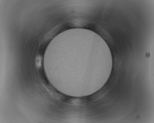 X0000111520075200908111212