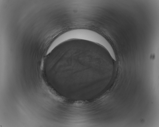 X0000111520076200908111212