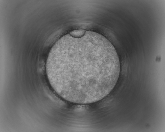 X0000111520077200908111212