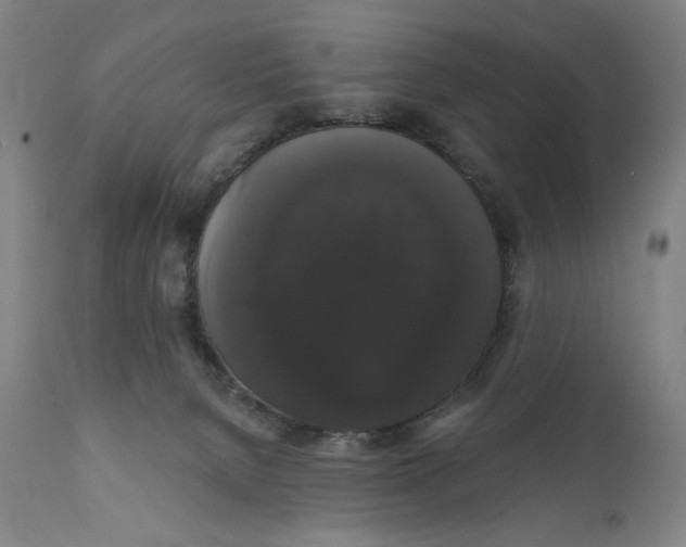 X0000111520080200908111212