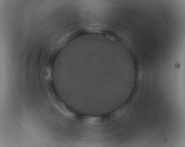 X0000111520081200908111212