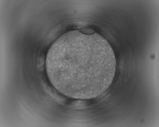 X0000111520082200908111212