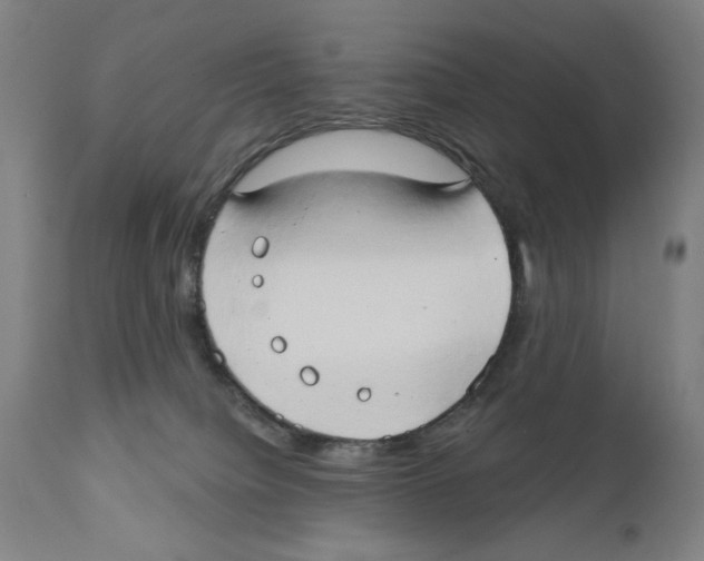 X0000111520084200908111212