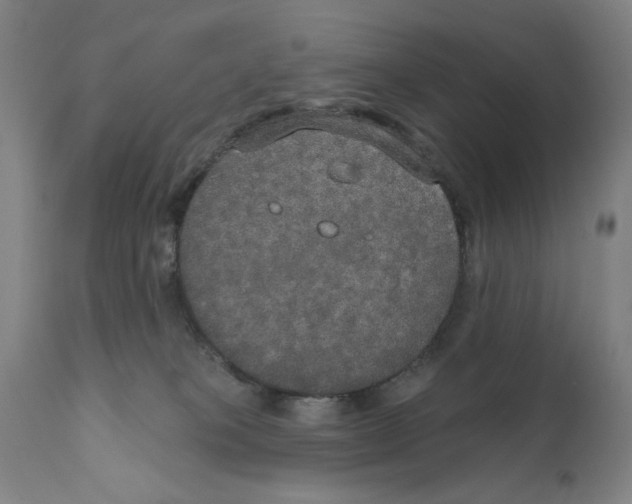 X0000111520085200908111213