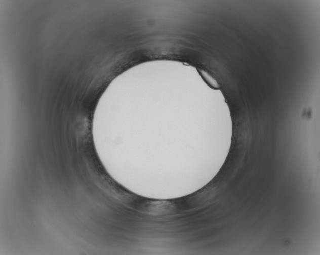 X0000111520087200908111213