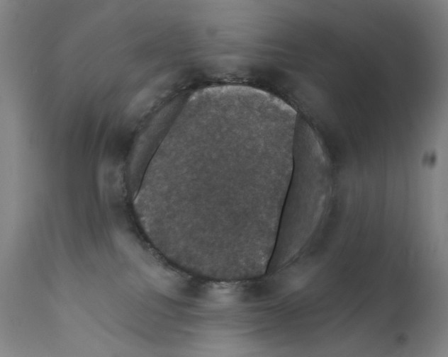 X0000111520088200908111213