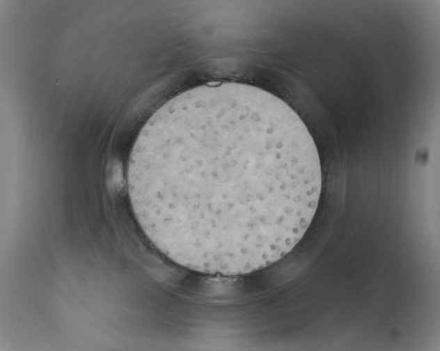 X0000111520089200908111213