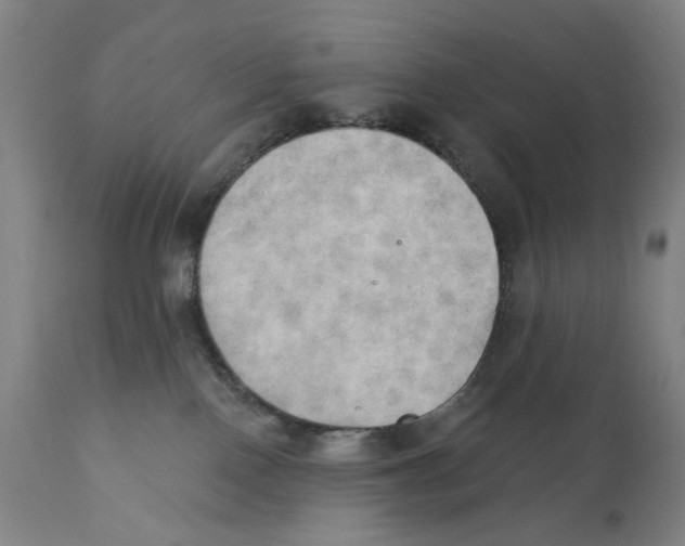 X0000111520090200908111213