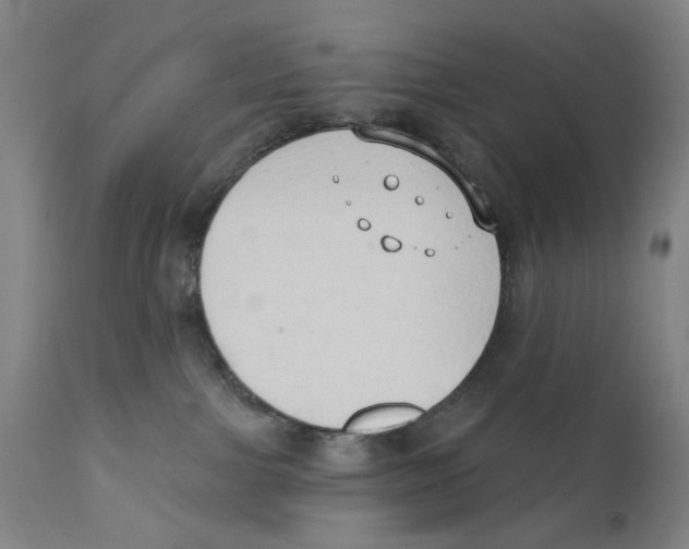 X0000111520091200908111213