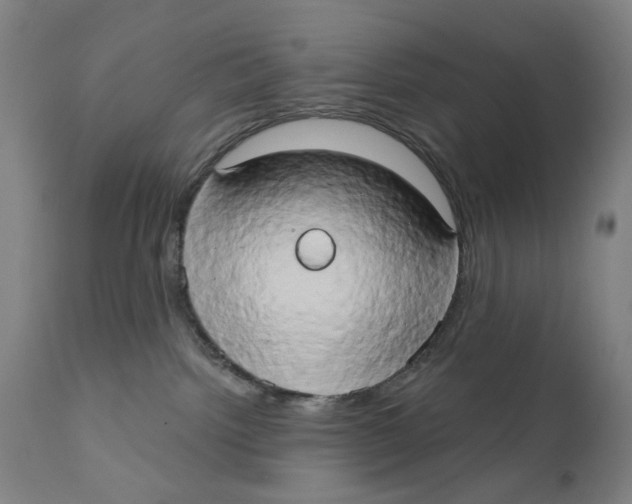 X0000111520092200908111213