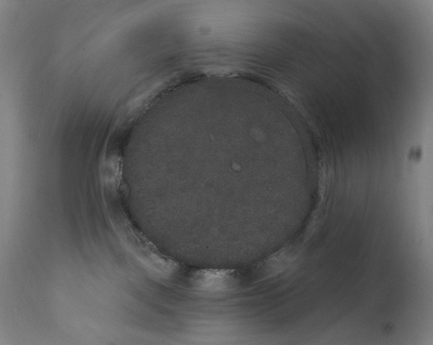 X0000111520093200908111213